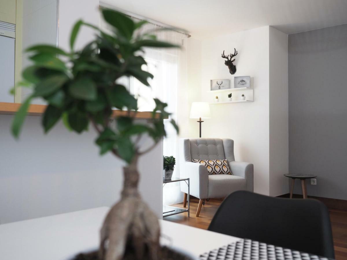 Apartamento Monte Perdido Boltaña Buitenkant foto
